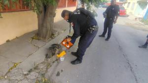Relacionada 96f3fdd8-6be6-4c15-81f7-31b64b1bce45.jpg