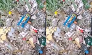 Relacionada plasticos.jpg