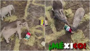 Relacionada fotojet.jpg