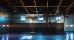 Relacionada tiranosaurio.jpg