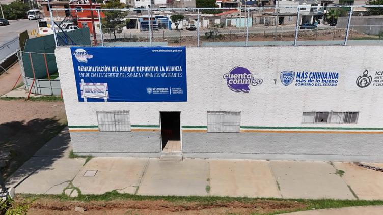 Galeria 11
