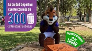 Relacionada g.jpg