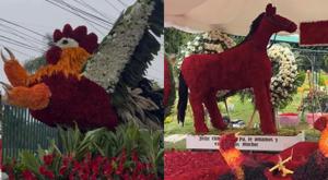 Relacionada gallos-flores.jpg