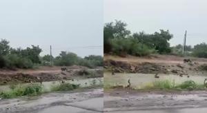Relacionada ninos-canal.jpg