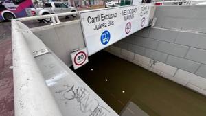 Relacionada 4815a742-ab5a-4e7c-beb5-724bf3cc7db3.jpg