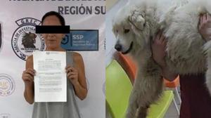 Relacionada perro.jpg