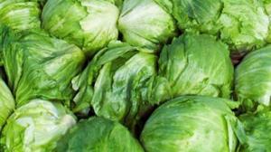 Relacionada lechuga.jpg