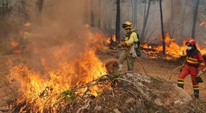 Relacionada incendios-espana.jpg
