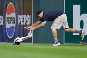 Relacionada ardilla-mlb.jpg