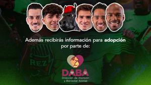Relacionada 6a6b974e6caf2__6a6b974e6caf4.jpg
