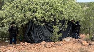 Relacionada tiempo1-94.jpg