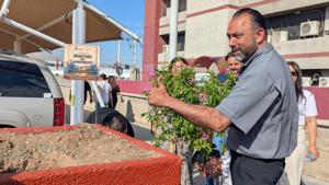 Relacionada jardinerasa64a89fb-66d5-4689-ba92-d48743f6a5f0.jpg