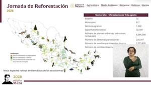 Relacionada reforestacion-66.jpg