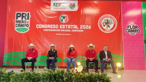 Relacionada inshot_20260808_113338617.jpg