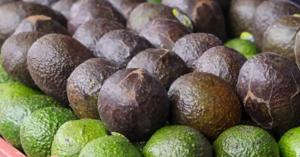 Relacionada aguacate-mexicano.jpg