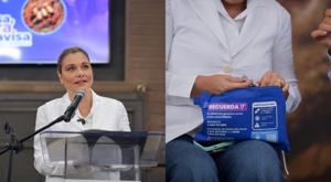 Relacionada protocolo-gusano-barrenador.jpg