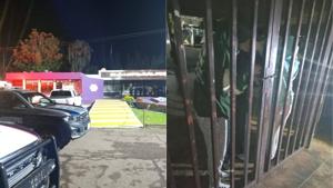 Relacionada normal-saucillo.jpg