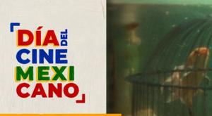 Relacionada descarga-6.jpg