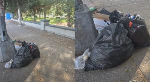 Relacionada basura-deportiva.jpg