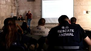 Relacionada tiempo1-2026-08-19t144626979.jpg