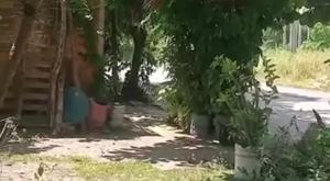Relacionada balacera-escuinapa-sinaloa-habitantes-escucharon-fuertes-detonaciones.jpg
