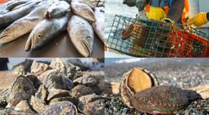Relacionada veda-mariscos.jpg