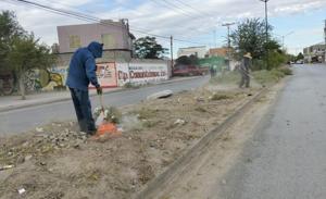 Relacionada whatsapp-image-2026-09-01-at-122116-pm.jpg