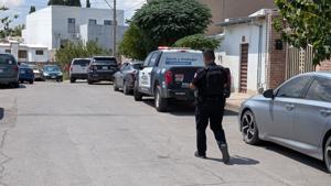Relacionada inshot_20260902_131207884.jpg