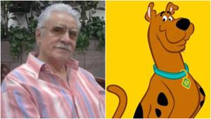 Relacionada fotojet.jpg