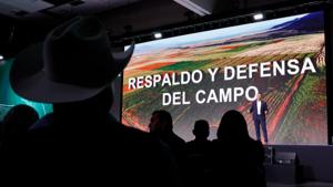 Relacionada b3ccc65b-dd83-4fbf-912b-64d14a1ed039.jpg