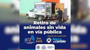 Relacionada canva-foto-26.jpg
