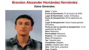 Relacionada 1d56a387-9e01-4e37-bd74-7af30ec3a143.jpg