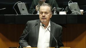 Relacionada canva-foto.jpg