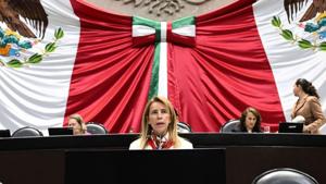 Relacionada manque-diputada.jpg