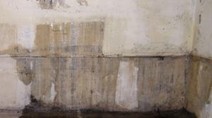 Relacionada leakage-in-the-basement-p23lbat-2-1-12.jpg