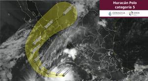Relacionada polo-chihuahua.jpg