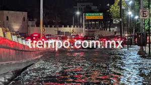 Relacionada inshot_20260928_190651386.jpg