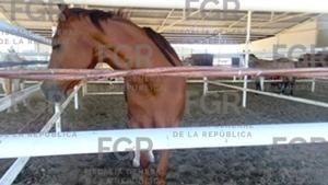 Relacionada canva-foto-14.jpg