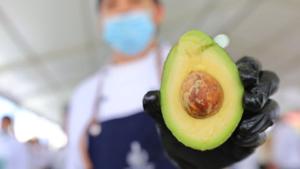 Relacionada aguacate.jpg