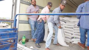 Relacionada 8f16391e-5ff4-4ae3-b5b6-d2c341786eb9.jpg